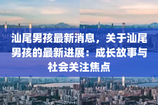 汕尾男孩最新消息，關(guān)于汕尾男孩的最新進展：成長故事與社會關(guān)注焦點液壓動力機械,元件制造
