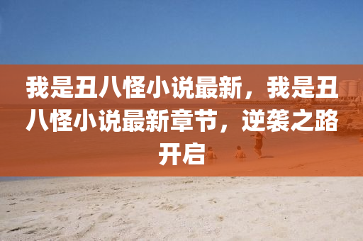 我是丑八怪小說最新，我是丑八怪小說最新章節(jié)，逆襲之路開啟液壓動(dòng)力機(jī)械,元件制造