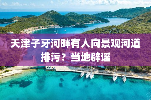 天津子牙河畔有人向景觀河道排污？當(dāng)?shù)乇僦{液壓動(dòng)力機(jī)械,元件制造