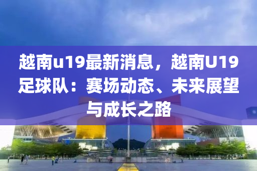 越南u19最新消息，越南U液壓動力機械,元件制造19足球隊：賽場動態(tài)、未來展望與成長之路