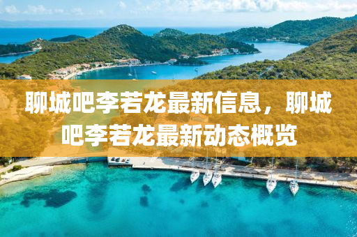 聊城吧李若龍最新信息，聊城吧李若龍最新動(dòng)態(tài)概覽液壓動(dòng)力機(jī)械,元件制造