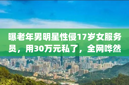 曝老液壓動(dòng)力機(jī)械,元件制造年男明星性侵17歲女服務(wù)員，用30萬元私了，全網(wǎng)嘩然