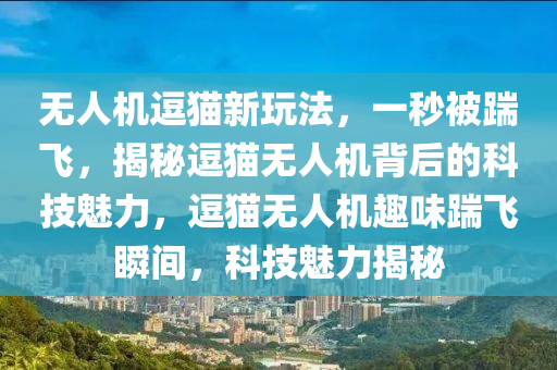 無人機逗貓新玩法，一秒被踹飛，揭秘逗貓無人機背后的科技魅力，逗貓無人機趣味踹飛瞬間，科技魅力揭秘液壓動力機械,元件制造