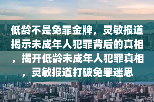 低齡不是免罪金牌，靈敏報道揭示未成年人犯罪背后的真相，揭開低齡未成年人犯罪真相，靈敏報道打破免罪迷思液壓動力機械,元件制造