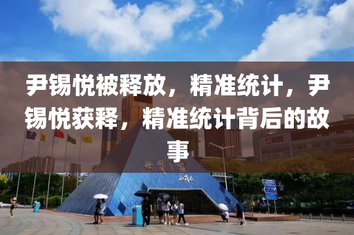 尹錫悅被釋放，精準(zhǔn)統(tǒng)計(jì)液壓動力機(jī)械,元件制造，尹錫悅獲釋，精準(zhǔn)統(tǒng)計(jì)背后的故事