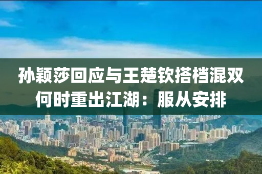 孫穎莎回應與王楚欽搭檔混雙何時重出江湖：服從安排液壓動力機械,元件制造