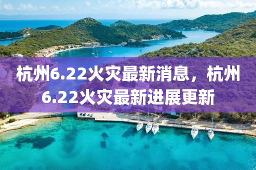 杭州6.22火災最新消息，杭州6.22火災最新進展更新液壓動力機械,元件制造