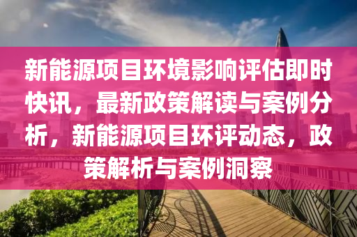 新能源項(xiàng)目環(huán)境影響評(píng)估即時(shí)快訊，最新政策解讀與案例分析，新能源項(xiàng)目環(huán)評(píng)動(dòng)態(tài)，政策解析與案例洞察液壓動(dòng)力機(jī)械,元件制造