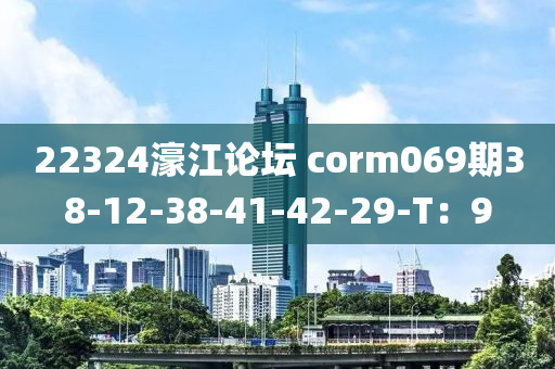 22324濠江論壇 corm069期38-12-38-41-42-29-T：9液壓動力機(jī)械,元件制造