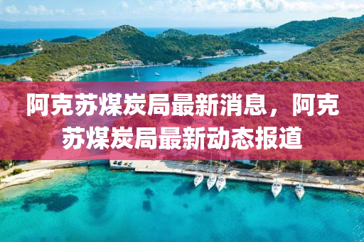 阿克蘇煤炭局最新消息，阿克蘇煤炭局最新動態(tài)報道