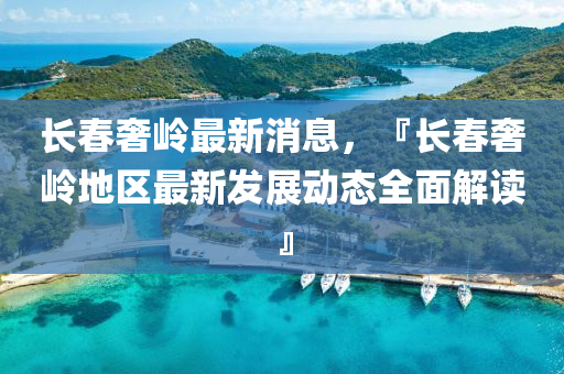 長春奢嶺最新消息，『長春奢嶺地區(qū)最新發(fā)展動態(tài)全面解讀』液壓動力機(jī)械,元件制造