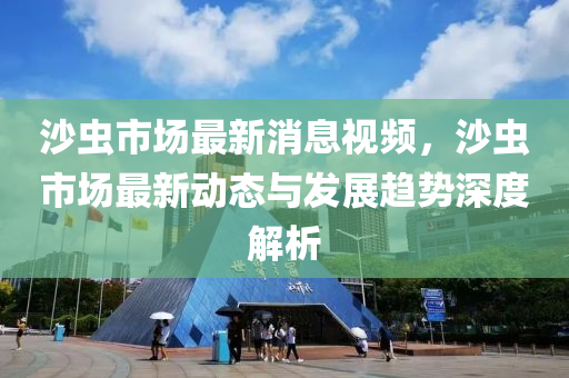 沙蟲市場最新消息視頻，沙蟲市場最新動(dòng)態(tài)與發(fā)液壓動(dòng)力機(jī)械,元件制造展趨勢深度解析