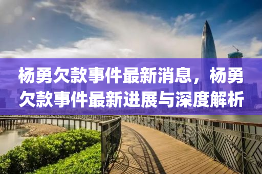 楊勇欠款事件最新消息，楊勇欠款事件最新進(jìn)展與深度解析液壓動(dòng)力機(jī)械,元件制造