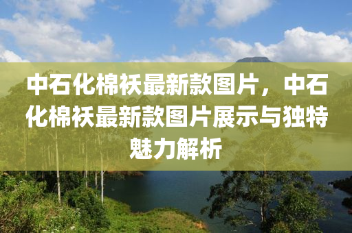 中石液壓動(dòng)力機(jī)械,元件制造化棉襖最新款圖片，中石化棉襖最新款圖片展示與獨(dú)特魅力解析