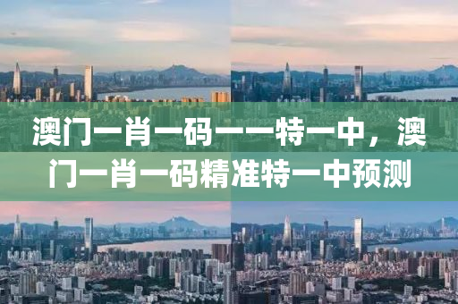 澳門一肖一碼一一特一中，澳門一肖一碼精準(zhǔn)特一中預(yù)測液壓動力機(jī)械,元件制造
