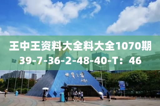 王中王資料大全料大全1070期39-7-36-2-48-40-T：46液壓動力機械,元件制造
