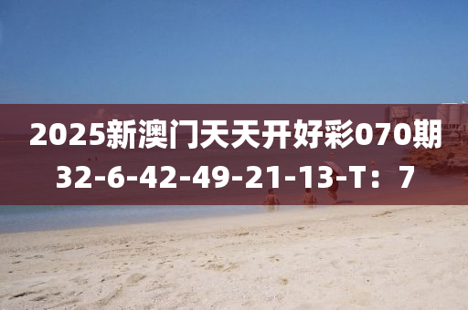 2025新澳門天天開好彩070期32-6-42-液壓動(dòng)力機(jī)械,元件制造49-21-13-T：7