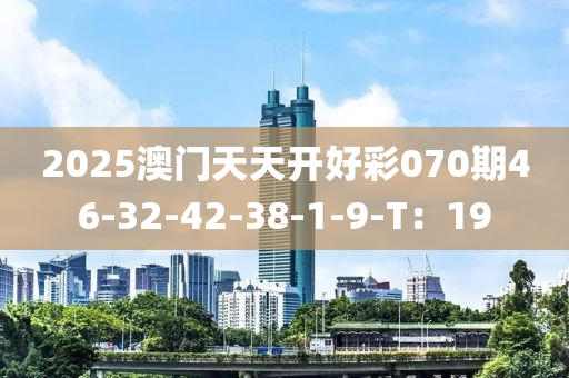 2025澳門天天開好彩070期46-32-42-38-1-9-T：19液壓動力機械,元件制造