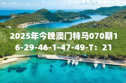 2025年今晚澳門特馬070期16-29-46-1-47-49-T：21液壓動力機械,元件制造