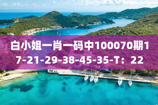 白小姐一肖一碼中100070期17-21-29-38-45-35-T：2液壓動力機械,元件制造2