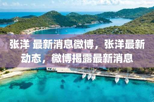 張洋 最新消息微博，張洋最新動(dòng)態(tài)，微博揭露最新消息液壓動(dòng)力機(jī)械,元件制造