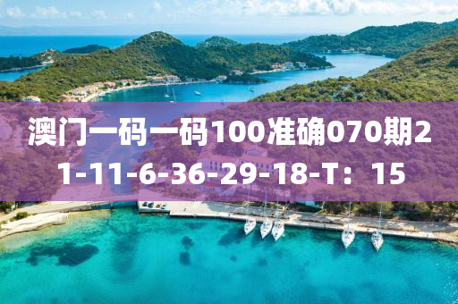 澳門一碼一碼100準確070期21-11-6-36液壓動力機械,元件制造-29-18-T：15