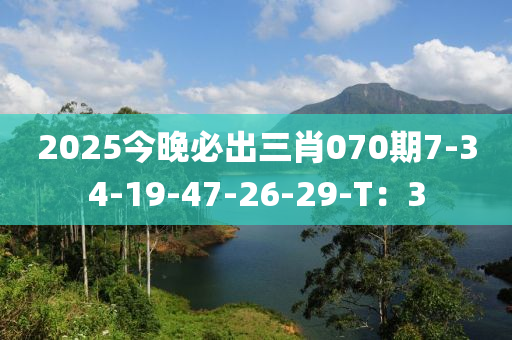 2025今晚必出三肖070期7-3液壓動力機械,元件制造4-19-47-26-29-T：3