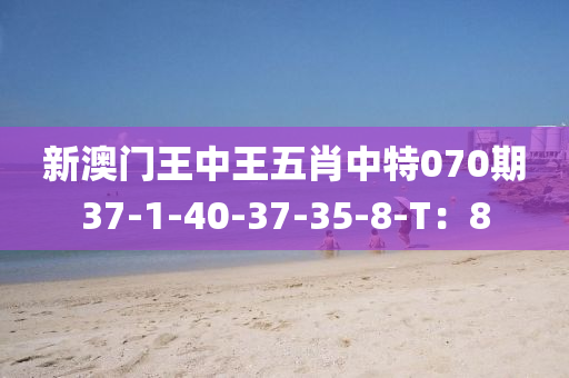 新澳門王中王五肖中特070期37-1-40-3液壓動力機械,元件制造7-35-8-T：8