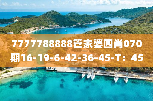 7777788888管家婆四肖070期16-19-6-42-液壓動力機械,元件制造36-45-T：45