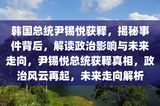 韓國總統(tǒng)尹錫悅獲釋，揭秘事件背后，解讀政治影響與未來走向，尹錫悅總統(tǒng)獲釋真相，政治風(fēng)云再起，未來走向解析液壓動力機(jī)械,元件制造