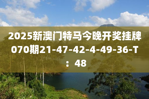 2025液壓動(dòng)力機(jī)械,元件制造新澳門特馬今晚開獎(jiǎng)掛牌070期21-47-42-4-49-36-T：48