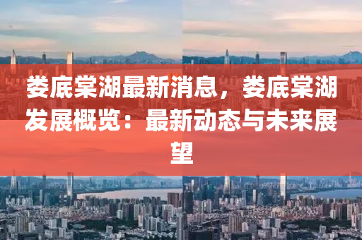 婁底棠湖最新消息，婁底棠湖發(fā)展概覽：最新動(dòng)態(tài)與未來(lái)展望液壓動(dòng)力機(jī)械,元件制造