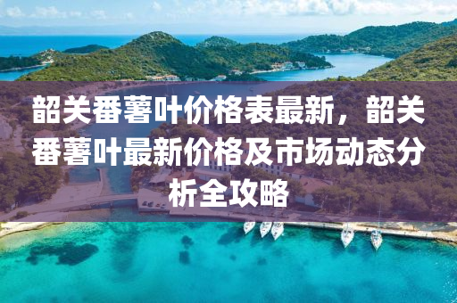 韶關(guān)番薯葉價格表最新，韶關(guān)番薯葉最新價格及市場動態(tài)分析全攻略液壓動力機械,元件制造