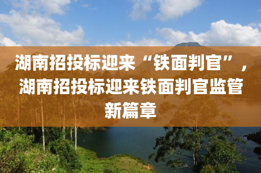 湖南招投標(biāo)迎來“鐵面判官”，湖南招投標(biāo)迎來鐵面判官監(jiān)管新篇章液壓動(dòng)力機(jī)械,元件制造