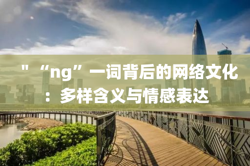 ＂“ng”一詞背后的網(wǎng)絡(luò)文化：液壓動(dòng)力機(jī)械,元件制造多樣含義與情感表達(dá)