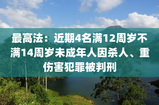 最高法：近期4名滿12周歲不滿14周歲未成年人因殺人、重傷害犯罪被判刑液壓動(dòng)力機(jī)械,元件制造