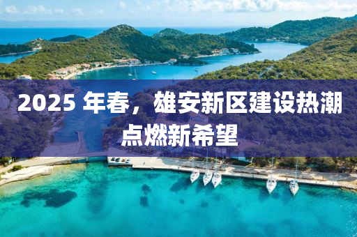 2025 年春，雄安新區(qū)建設(shè)熱潮點(diǎn)燃新希望液壓動(dòng)力機(jī)械,元件制造
