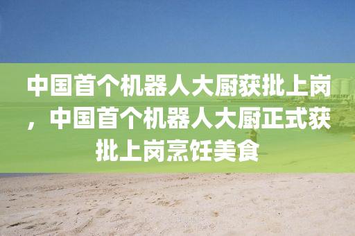 中國(guó)首個(gè)機(jī)器人大廚獲批上崗，中國(guó)首個(gè)機(jī)器人大廚正式獲批上崗烹飪美食