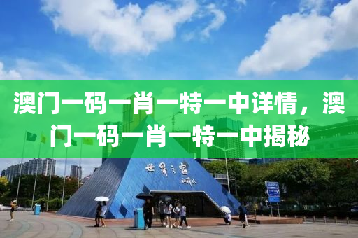 澳門一碼一肖一特一中詳情，澳門一碼一肖一特一中揭秘