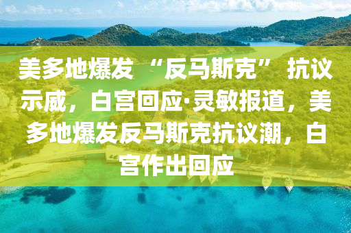 美多地爆發(fā) “反馬斯克” 抗議示威，白宮回應(yīng)·靈敏報道，美多地爆發(fā)反馬斯克抗議潮，白宮作出回應(yīng)液壓動力機(jī)械,元件制造