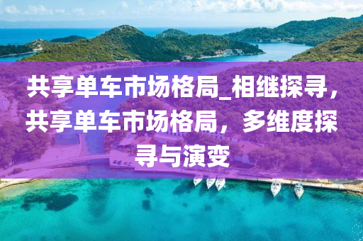 共享單車市場(chǎng)格局_相繼探尋，共享單車市場(chǎng)格局，多維度探尋與演變液壓動(dòng)力機(jī)械,元件制造