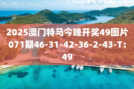 2025澳門(mén)特馬今晚開(kāi)獎(jiǎng)49圖片071期46-31-42-36-2-43-T：49液壓動(dòng)力機(jī)械,元件制造