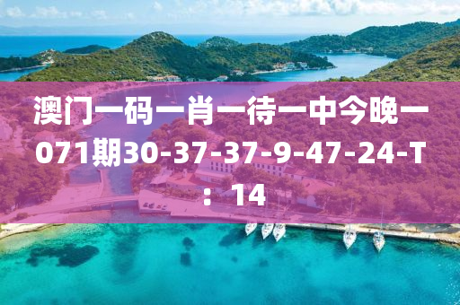 澳門(mén)一碼一肖一待一中液壓動(dòng)力機(jī)械,元件制造今晚一071期30-37-37-9-47-24-T：14