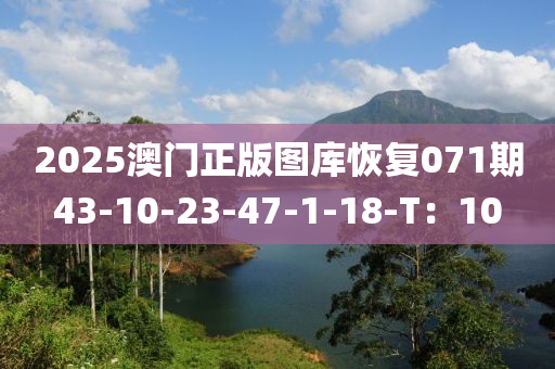 2025澳門(mén)正版圖庫(kù)恢復(fù)071期43-10-23-47-1-18-T：1液壓動(dòng)力機(jī)械,元件制造0