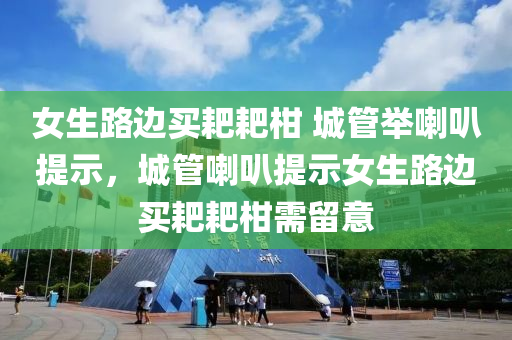 女生路邊買耙耙柑 城管舉喇叭提示，城管喇叭提示女生路邊買耙耙柑需留意液壓動力機(jī)械,元件制造