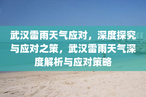 武漢雷雨天氣應(yīng)對，深度探究與應(yīng)對之策，武漢雷雨天氣深度解析與應(yīng)對策略液壓動力機械,元件制造