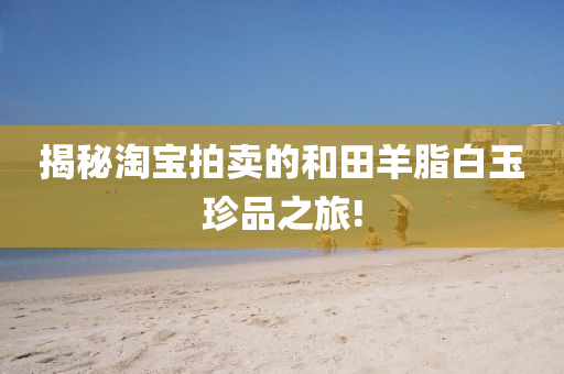 揭秘淘寶拍賣的和田羊脂白玉珍品之旅!液壓動力機(jī)械,元件制造