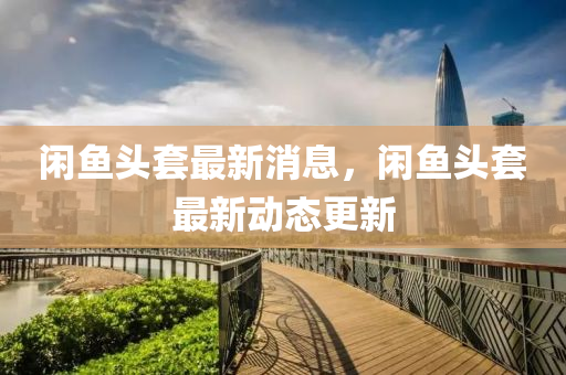 閑魚頭套最新消息，閑魚頭套最新動態(tài)更新液壓動力機械,元件制造