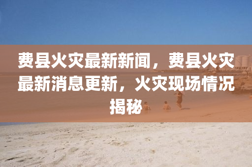 費(fèi)縣火災(zāi)最新新聞，費(fèi)縣火災(zāi)最新消息更新，火災(zāi)現(xiàn)場(chǎng)情況揭秘液壓動(dòng)力機(jī)械,元件制造