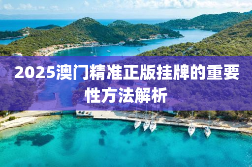 2025澳門精準(zhǔn)正版掛牌的重要性液壓動(dòng)力機(jī)械,元件制造方法解析